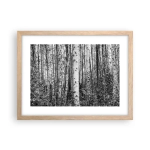 Plagát v ráme zo svetlého duba - Brezová kolonáda - 40x30 cm