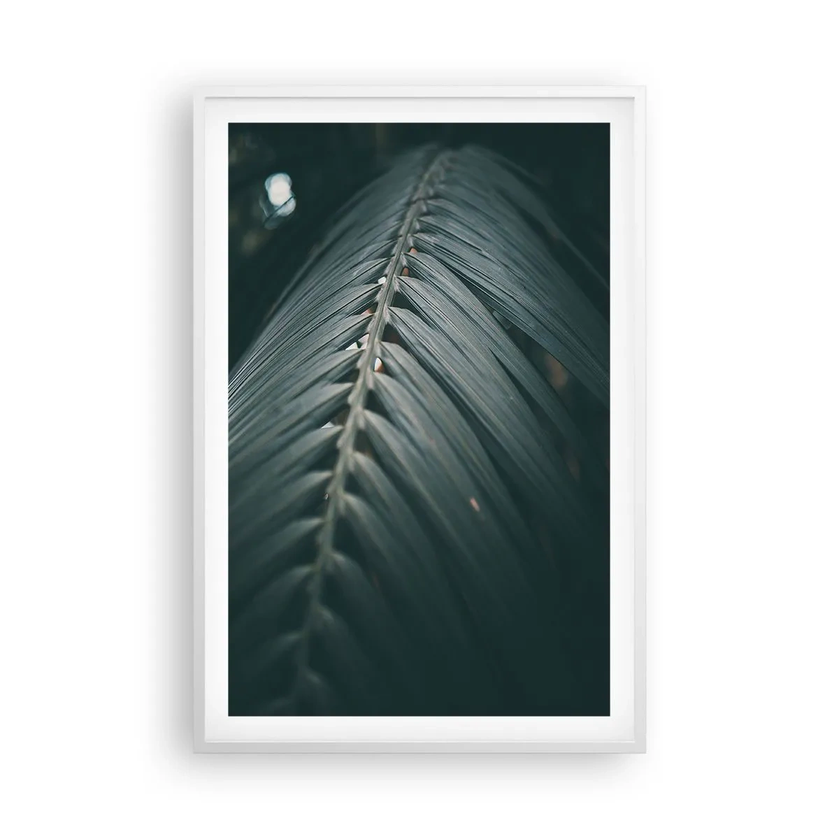 Plagát v bielom ráme - Presnosť prírody - 61x91 cm