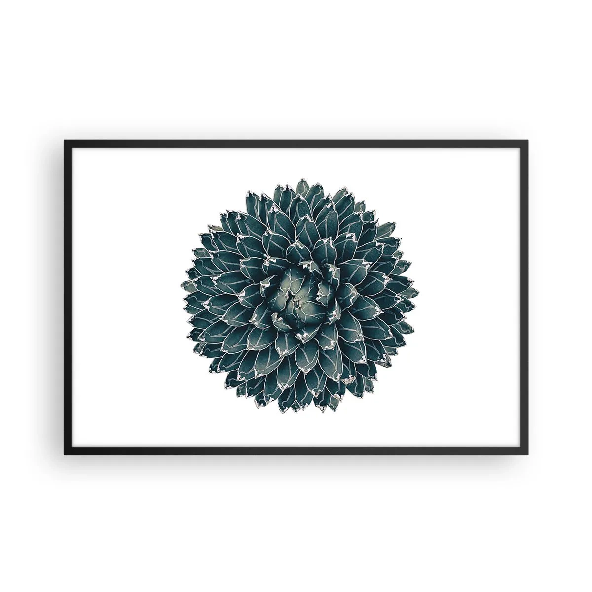 Plagát v čiernom ráme - Hviezda púšte - 91x61 cm