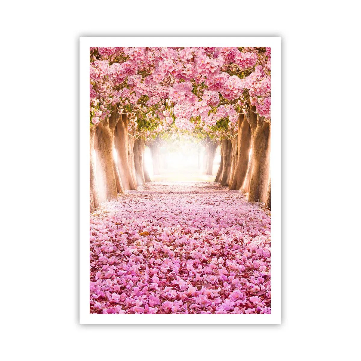 Plagát - Cesta do raja - 70x100 cm