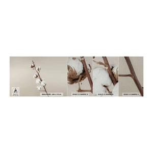 Vzorka fototapety Premium Sand - Pri zdroji mäkkosti - Bavlnený kvet, Príroda, Bavlna - 100x30 cm