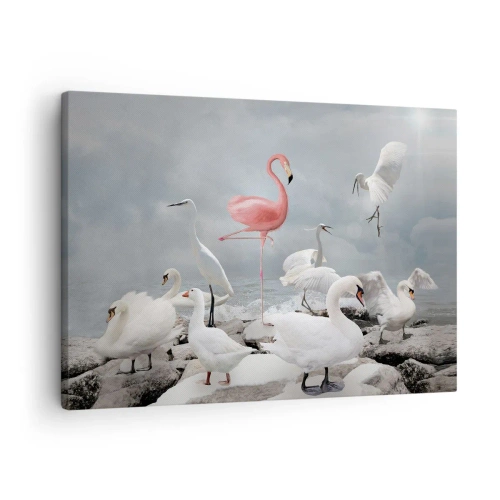 Obraz na plátne - Ružový plameniak medzi bielymi labuťami na pozadí jazera - 70x50cm - Kde som sa tu vzal? - Moderná nástenná dekorácia do obývacej izby a spálne ARTTOR