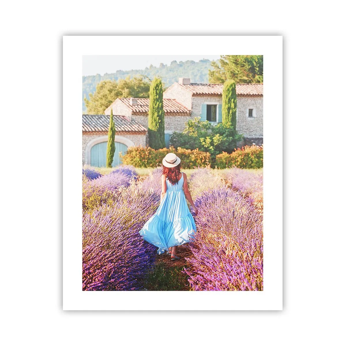 Plagát - Levanduľové dievča - 40x50 cm