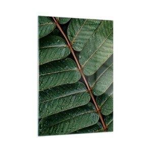 Obraz na skle - V zelenom rytme - 50x70 cm