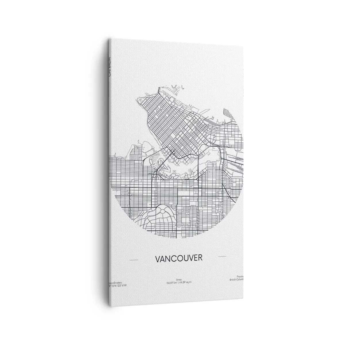 Obraz na plátne - Anatómia Vancouveru - 45x80 cm