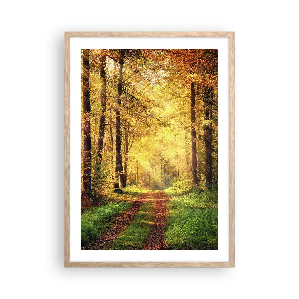 Plagát v ráme zo svetlého duba - Lesno-zlaté ticho - 50x70 cm