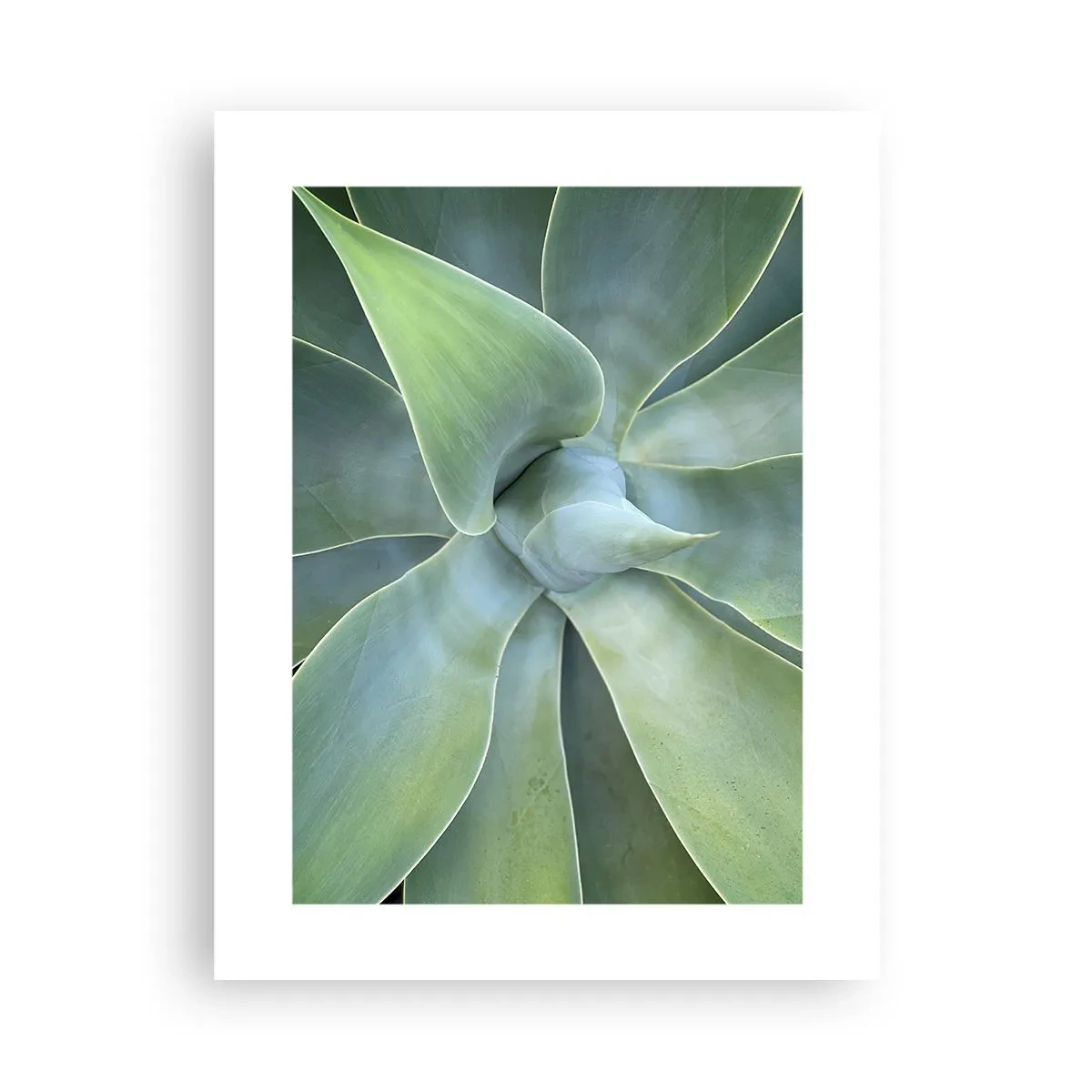 Plagát - Zrodenie zelene - 30x40 cm