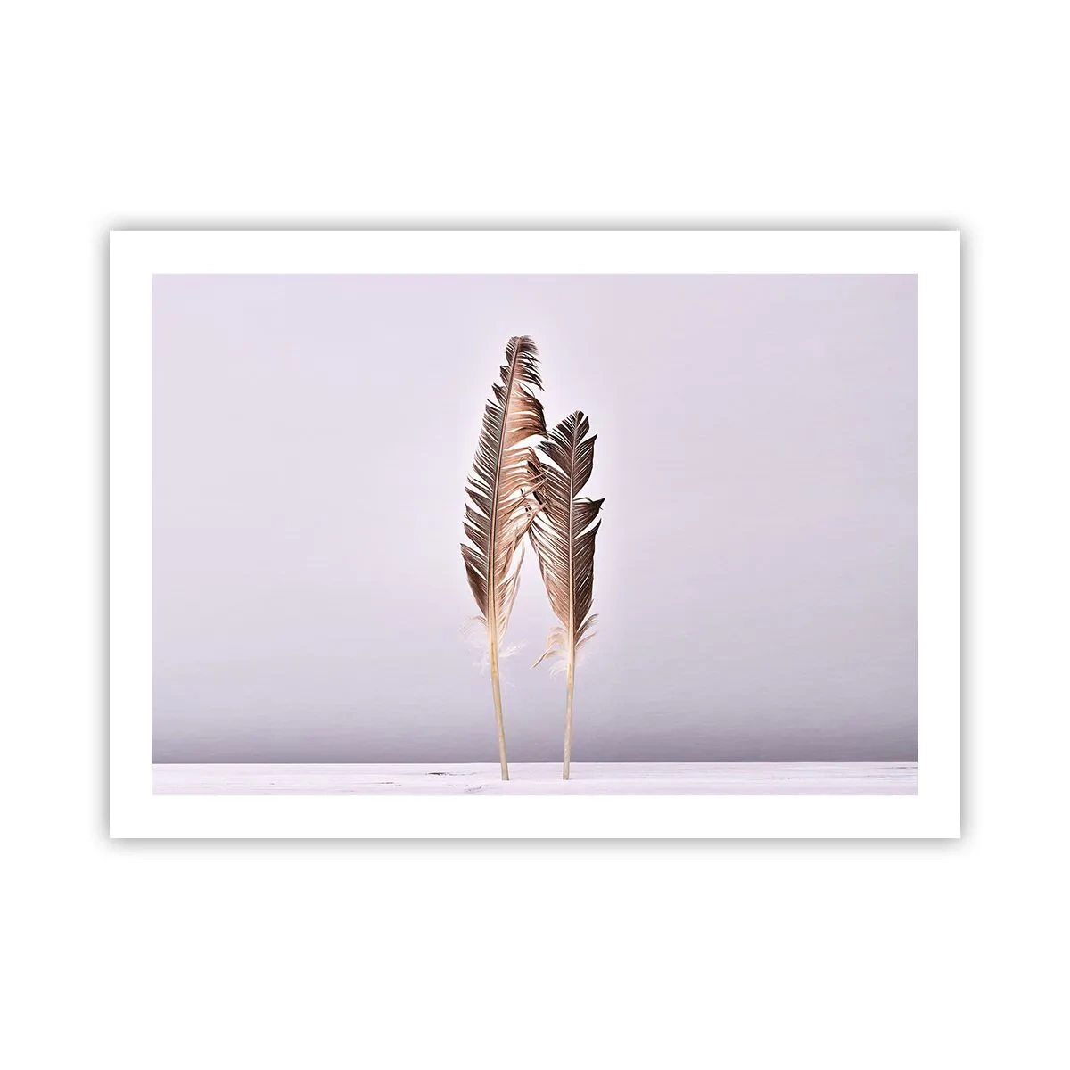 Plagát - Proti ničote - 70x50 cm