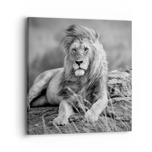 Obraz na plátne - Kráľovská siesta - 40x40 cm