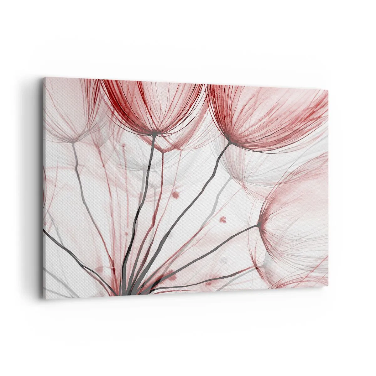 Obraz na plátne - Pred odletom - 100x70 cm