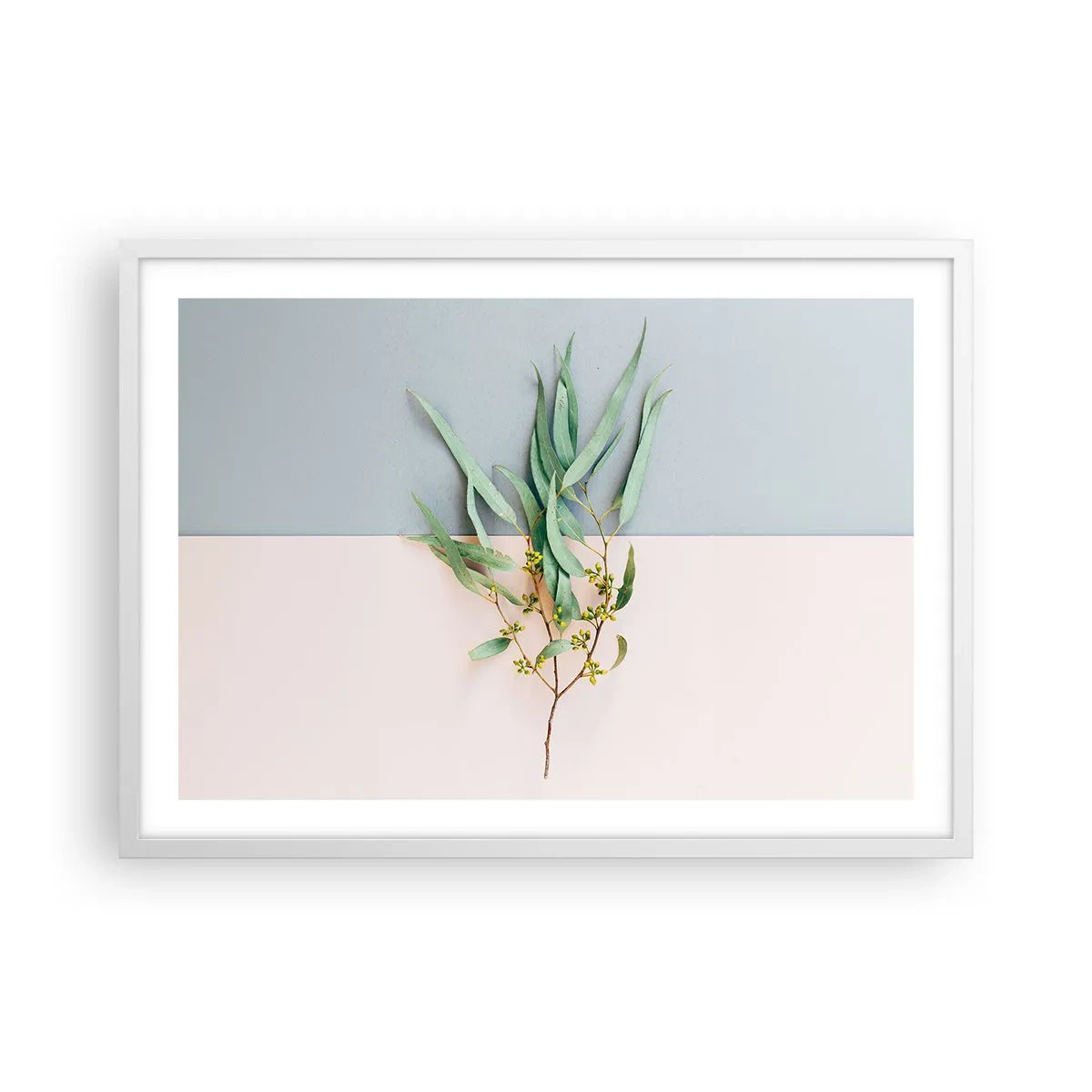Plagát v bielom ráme - Pastelová jemnosť - 70x50 cm