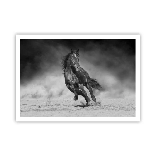 Plagát - Hodné samotného emira - 100x70 cm