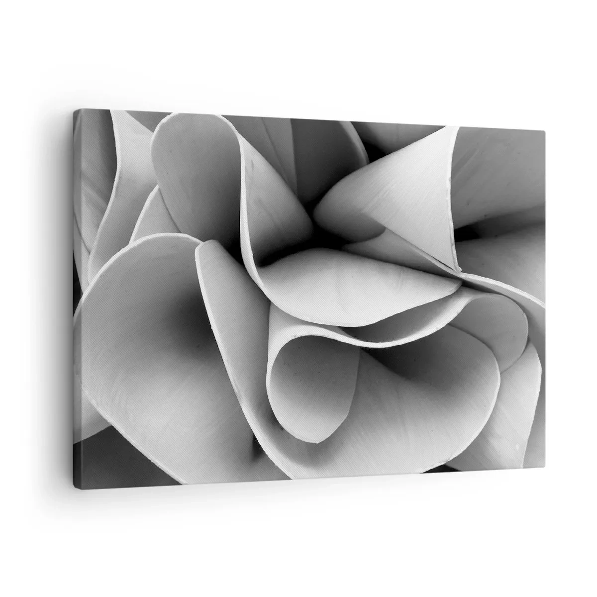 Obraz na plátne - Čiernobiele detaily abstraktných foriem - 70x50cm - Deje sa vo vesmíre - Moderná nástenná dekorácia do obývacej izby a spálne ARTTOR