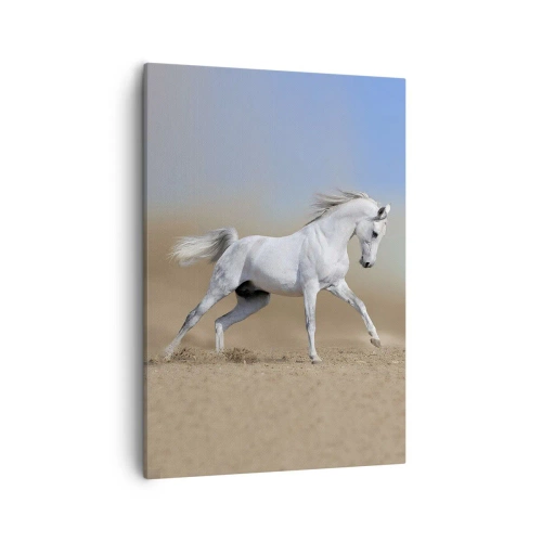 Obraz na plátne - Najkrajšia arabská rozprávka - 50x70 cm
