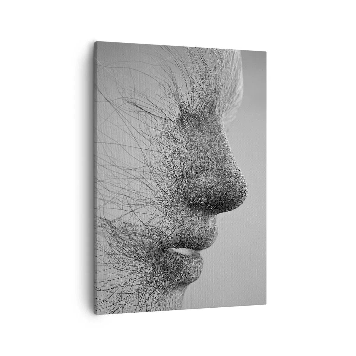 Obraz na plátne - Duch vetra - 50x70 cm
