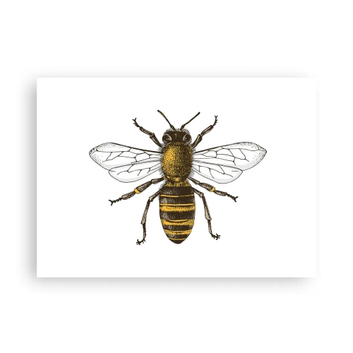 Plagát - Krásna a dobrá - 70x50 cm