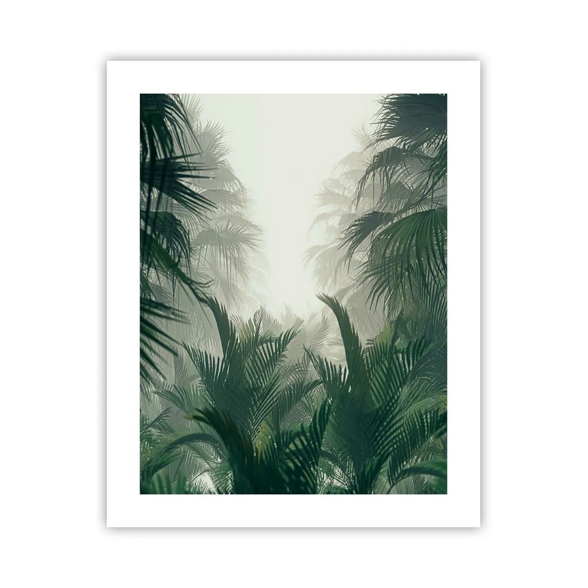 Plagát - Tropická záhada - 40x50 cm