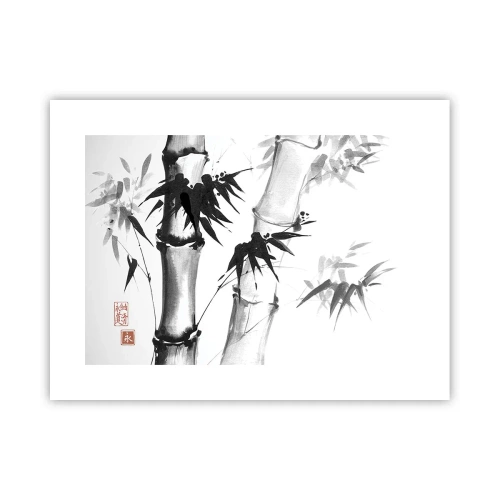 Plagát - Blízky záber na orient - 40x30 cm