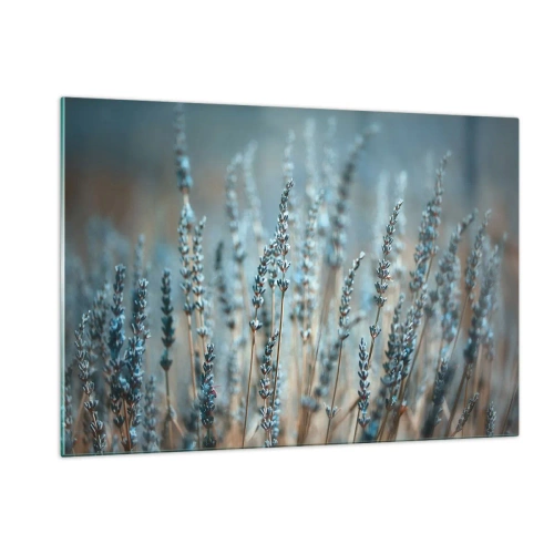 Obraz na skle - Voňavý lán - 120x80 cm