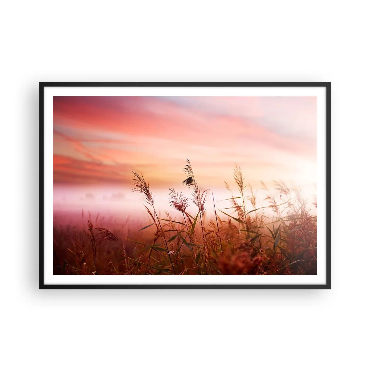Plagát v čiernom ráme - Draci, púpavy a vietor - 100x70 cm