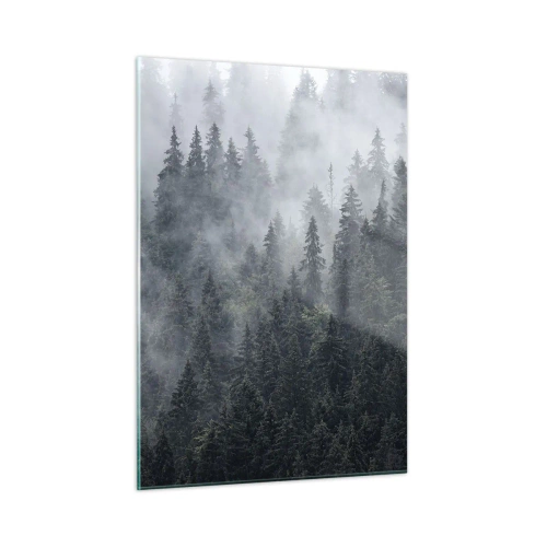 Obraz na skle - Lesné svitania - 50x70 cm