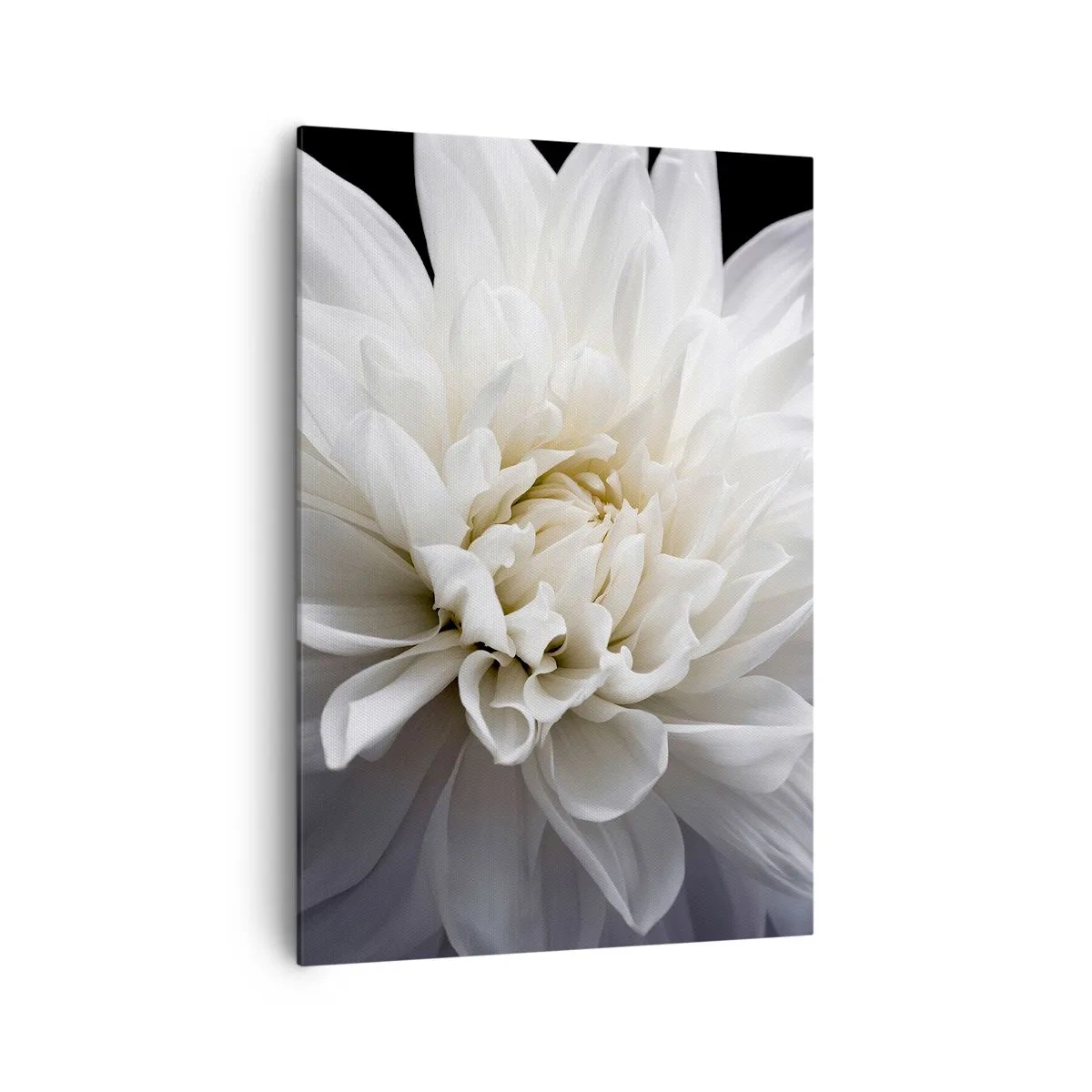 Obraz na plátne - Ráno s nevestou - 70x100 cm