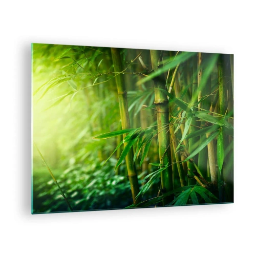 Obraz na skle - Zelený bambusový les na slnku - 70x50cm - Poznať samotnú zeleň - Moderná nástenná dekorácia do obývacej izby a spálne ARTTOR
