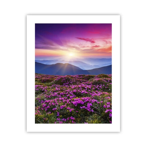 Plagát - Zavoňali svieže púčiky byliniek z obilných polí - 40x50 cm