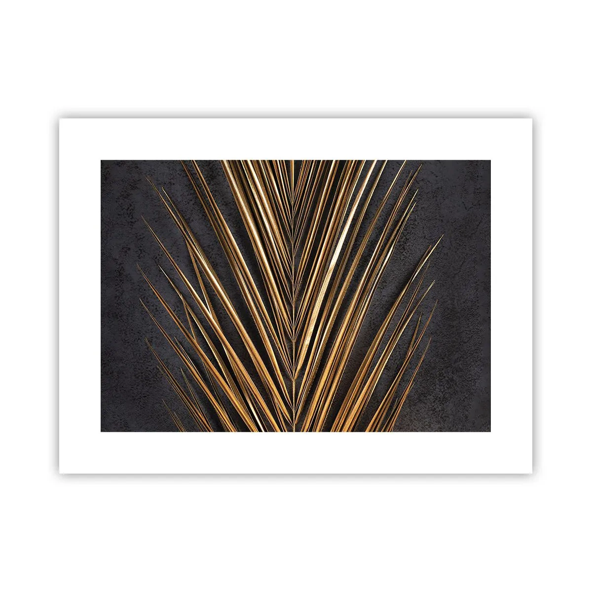 Plagát - Zlato trópov - 40x30 cm