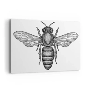Obraz na plátne - Hmyzí portrét - 120x80 cm