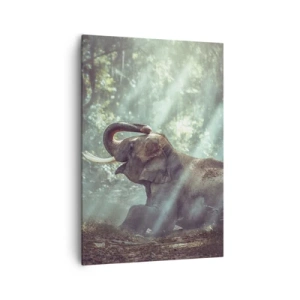 Obraz na plátne - A počuj toto… - 70x100 cm