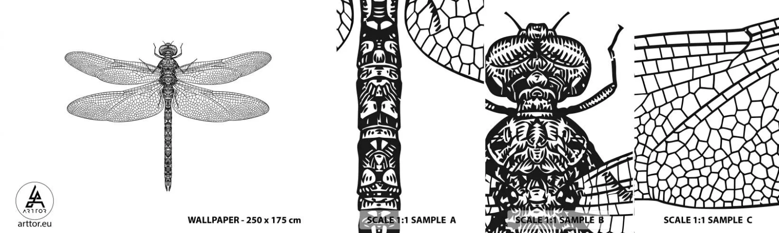 Vzorka Fototapeta Standard Eco - Presnosť prírody - Vážka, Hmyz, Minimalistický - 100x30 cm