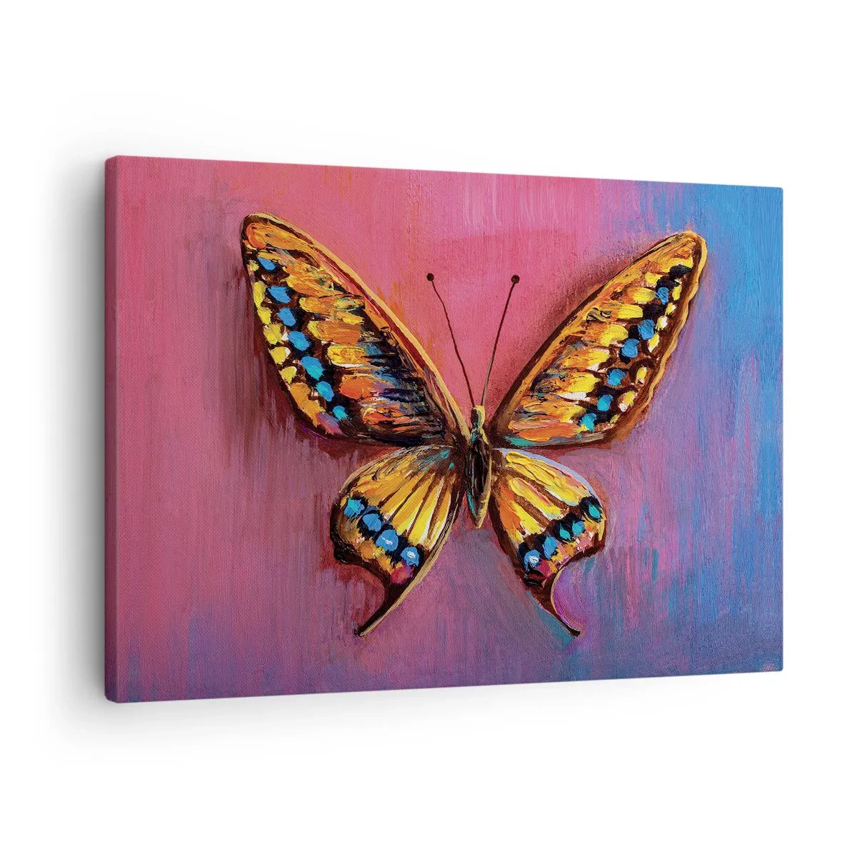 Obraz na plátne - Farebný motýľ na abstraktnom pozadí - 70x50cm - Klenot prírody - Moderná nástenná dekorácia do obývacej izby a spálne ARTTOR