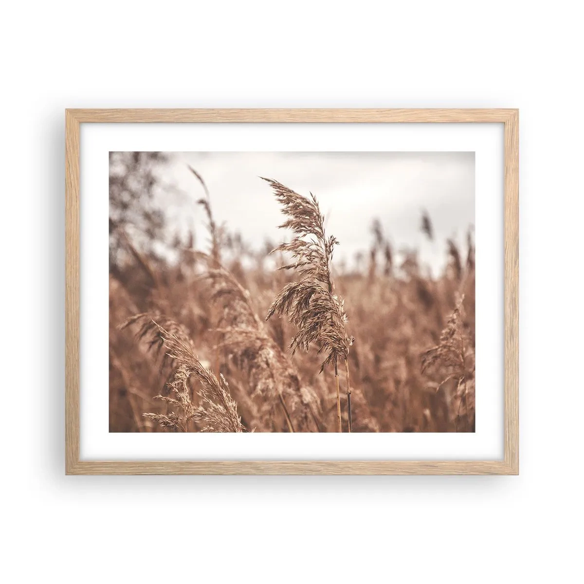 Plagát v ráme zo svetlého duba - Na poliach už je jeseň - 50x40 cm