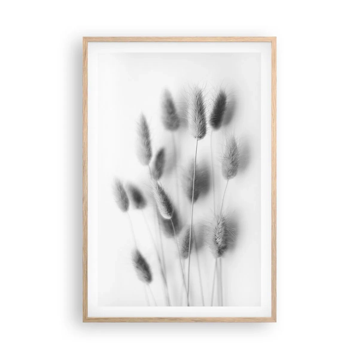 Plagát v ráme zo svetlého duba - Našuchorená tráva - 61x91 cm