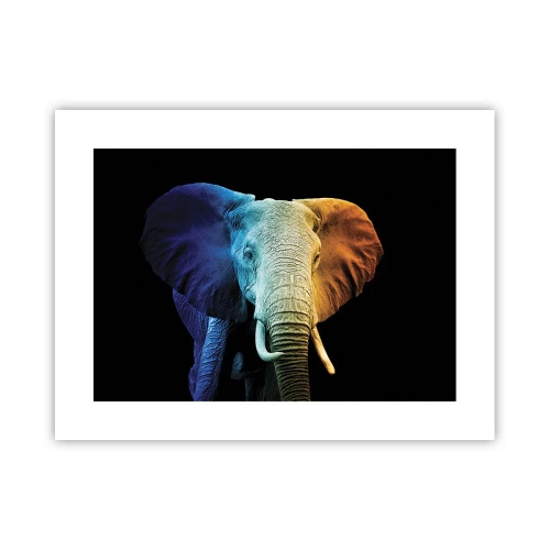 Plagát - Excentrický muž, avšak nie podivín - 40x30 cm