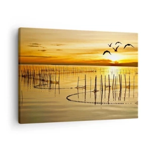 Obraz na plátne - Západ slnka nad vodou s vtákmi v lete - 70x50cm - Na rybolove - Moderná nástenná dekorácia do obývacej izby a spálne ARTTOR