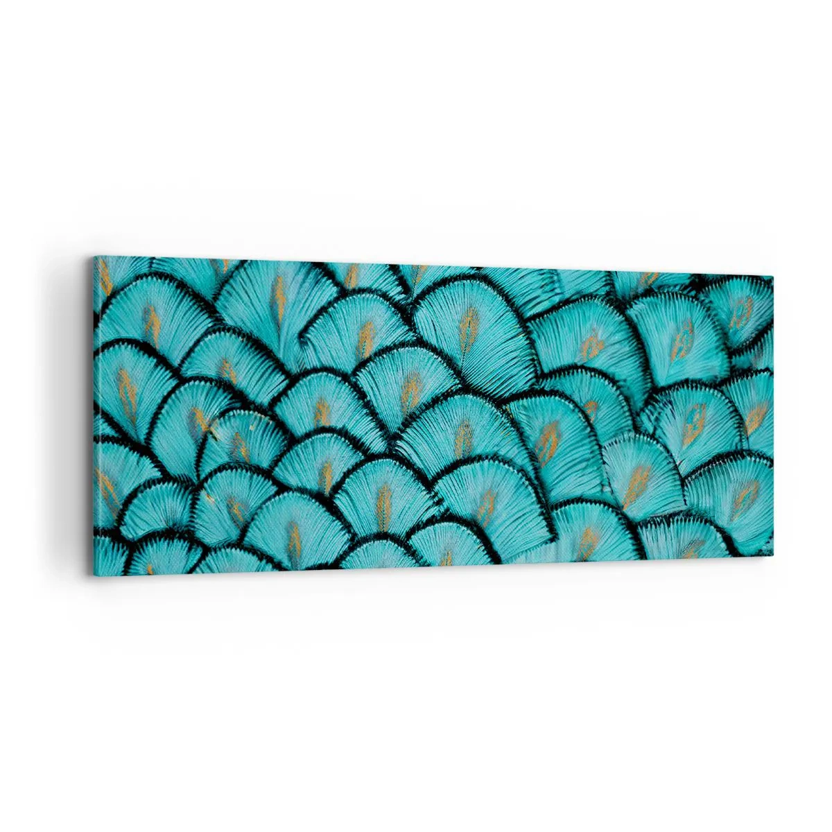 Obraz na plátne - Veľká slávnosť peria - 100x40 cm