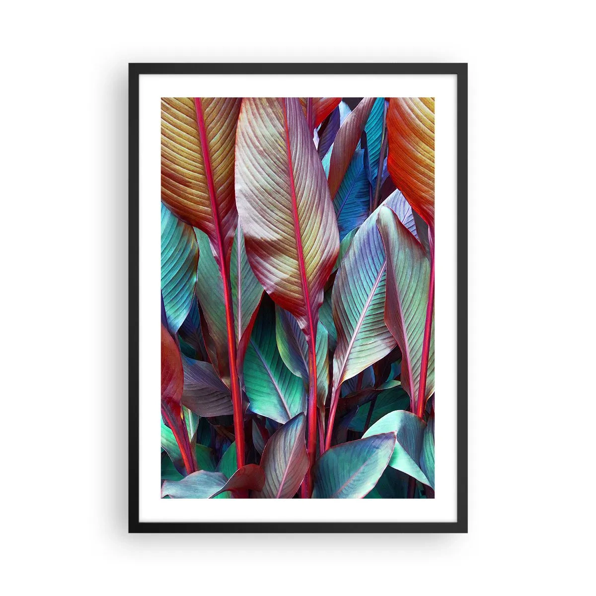 Plagát v čiernom ráme - Farebné listy tropickej rastliny v sýtych farbách - 50x70cm - Farebná húština - Moderná nástenná dekorácia do obývacej izby a spálne ARTTOR