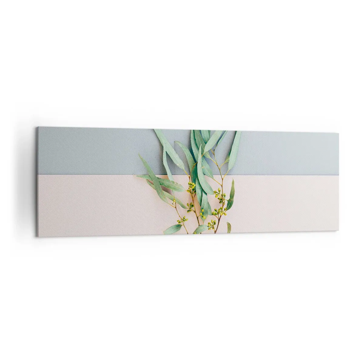 Obraz na plátne - Pastelová jemnosť - 160x50 cm