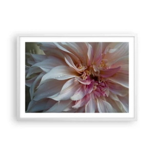 Plagát v bielom ráme - Kvitnúca sviežosť - 70x50 cm