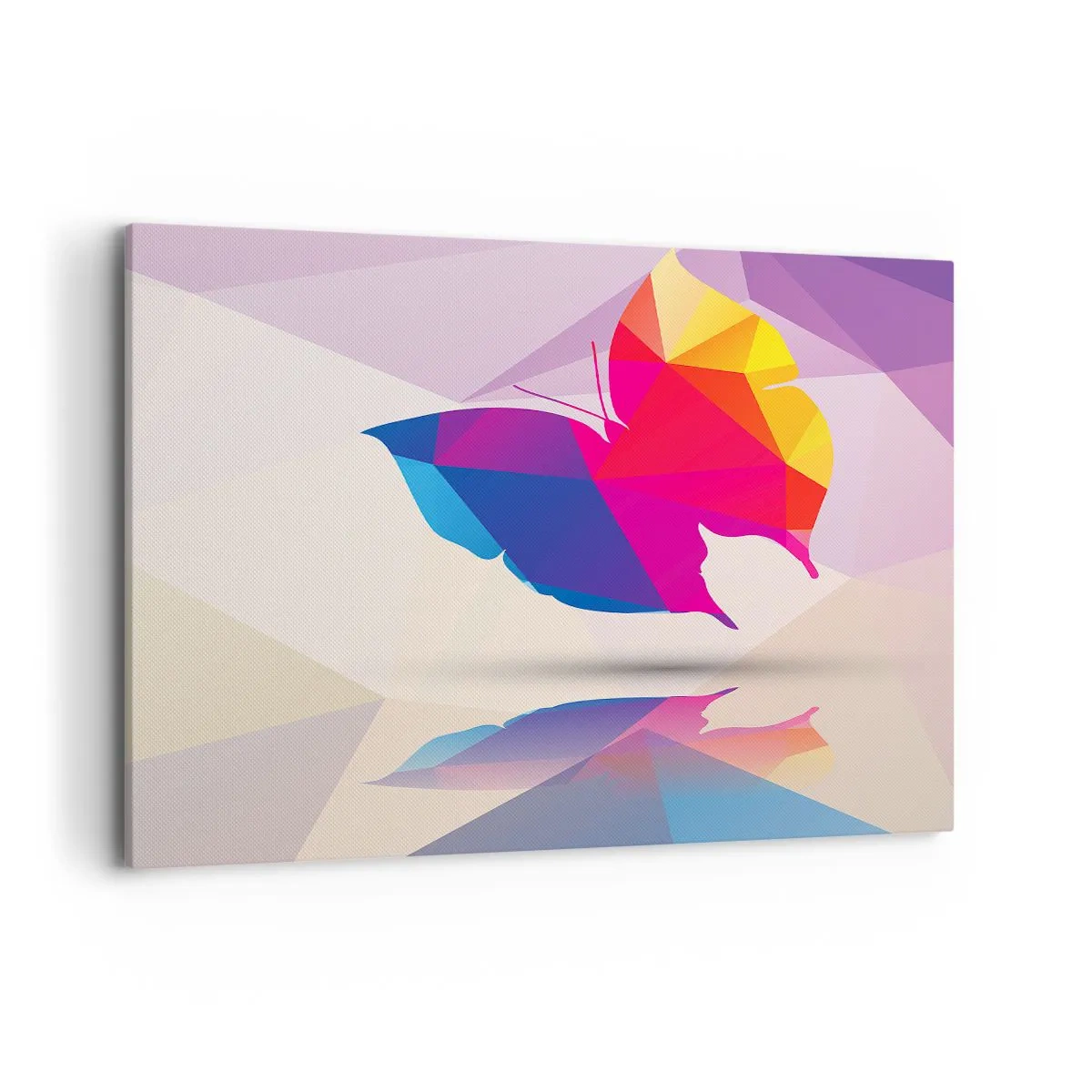 Obraz na plátne - Motýlia dúha - 120x80 cm