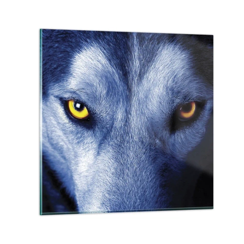 Obraz na skle - Fascinujúci pohľad - 30x30 cm