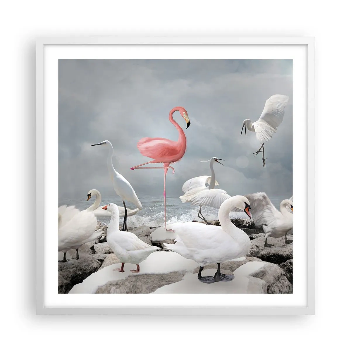 Plagát v bielom ráme - Kde som sa tu vzal? - 60x60 cm