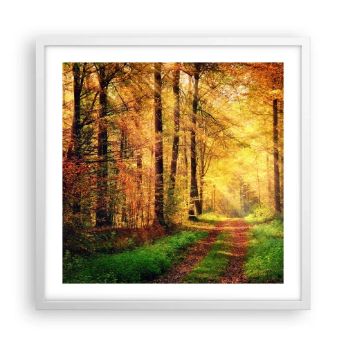 Plagát v bielom ráme - Lesno-zlaté ticho - 50x50 cm