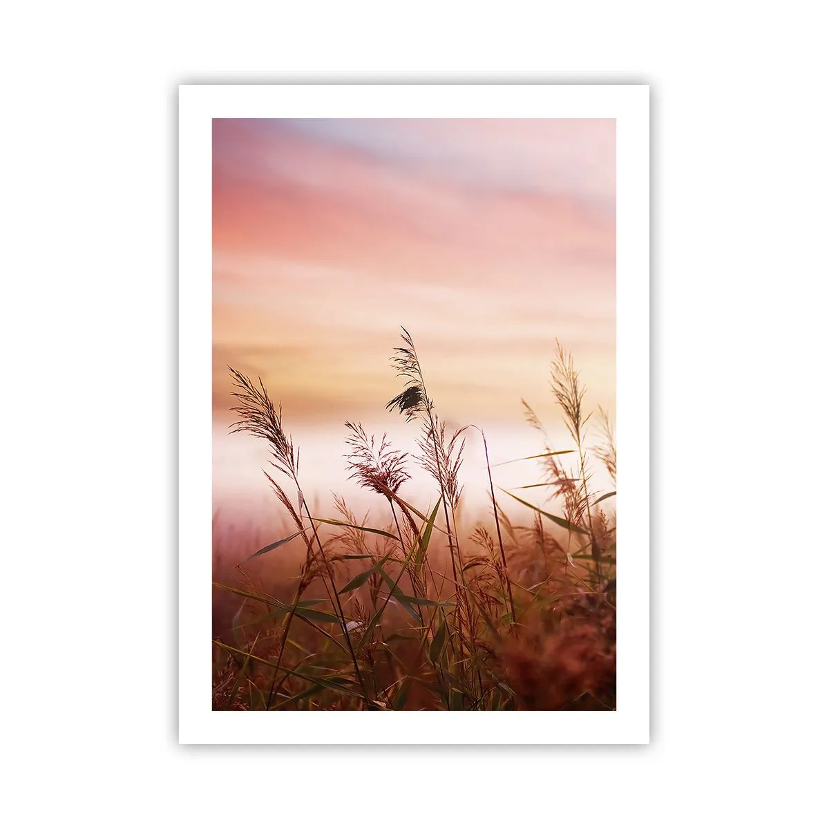 Plagát - Draci, púpavy a vietor - 50x70 cm