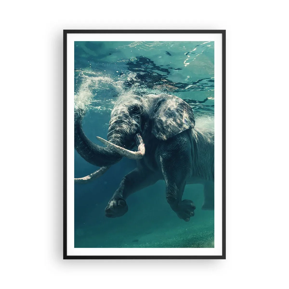 Plagát v čiernom ráme - Všetci radi plávajú - 70x100 cm
