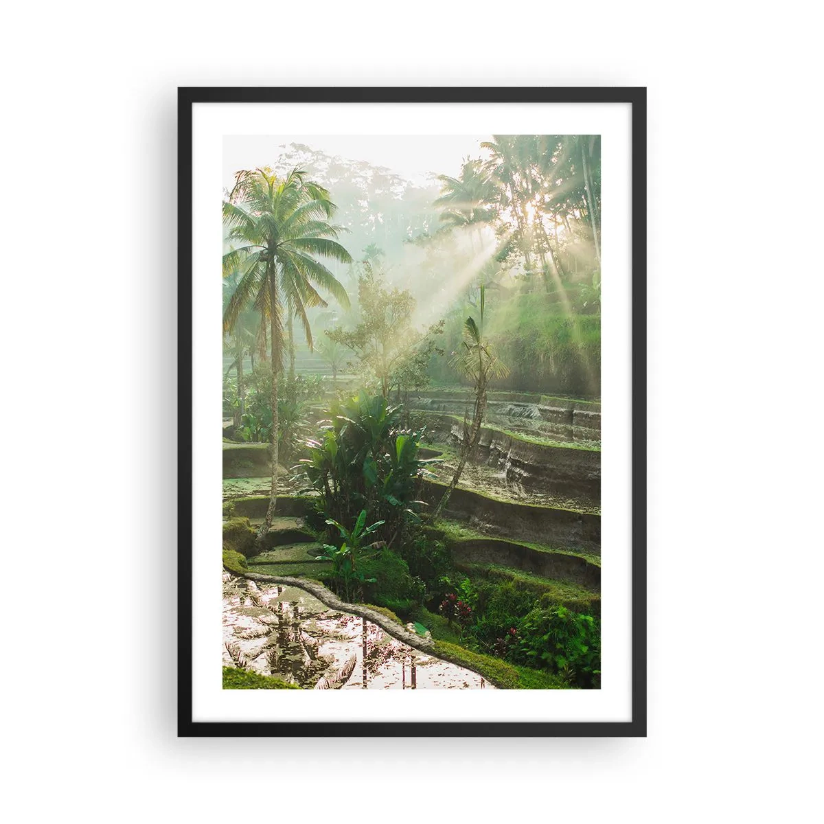 Plagát v čiernom ráme - Tropická krajina s ryžovými terasami a slnečným žiarením - 50x70cm - Vyrastať na slnku - Moderná nástenná dekorácia do obývacej izby a spálne ARTTOR