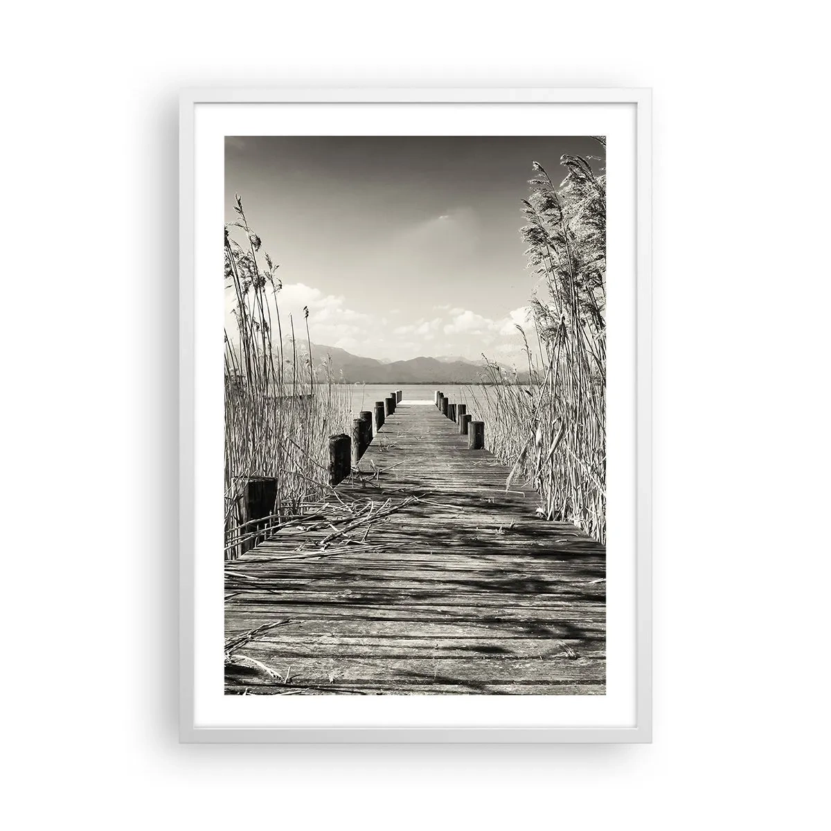 Plagát v bielom ráme - V ústraní tráv - 50x70 cm
