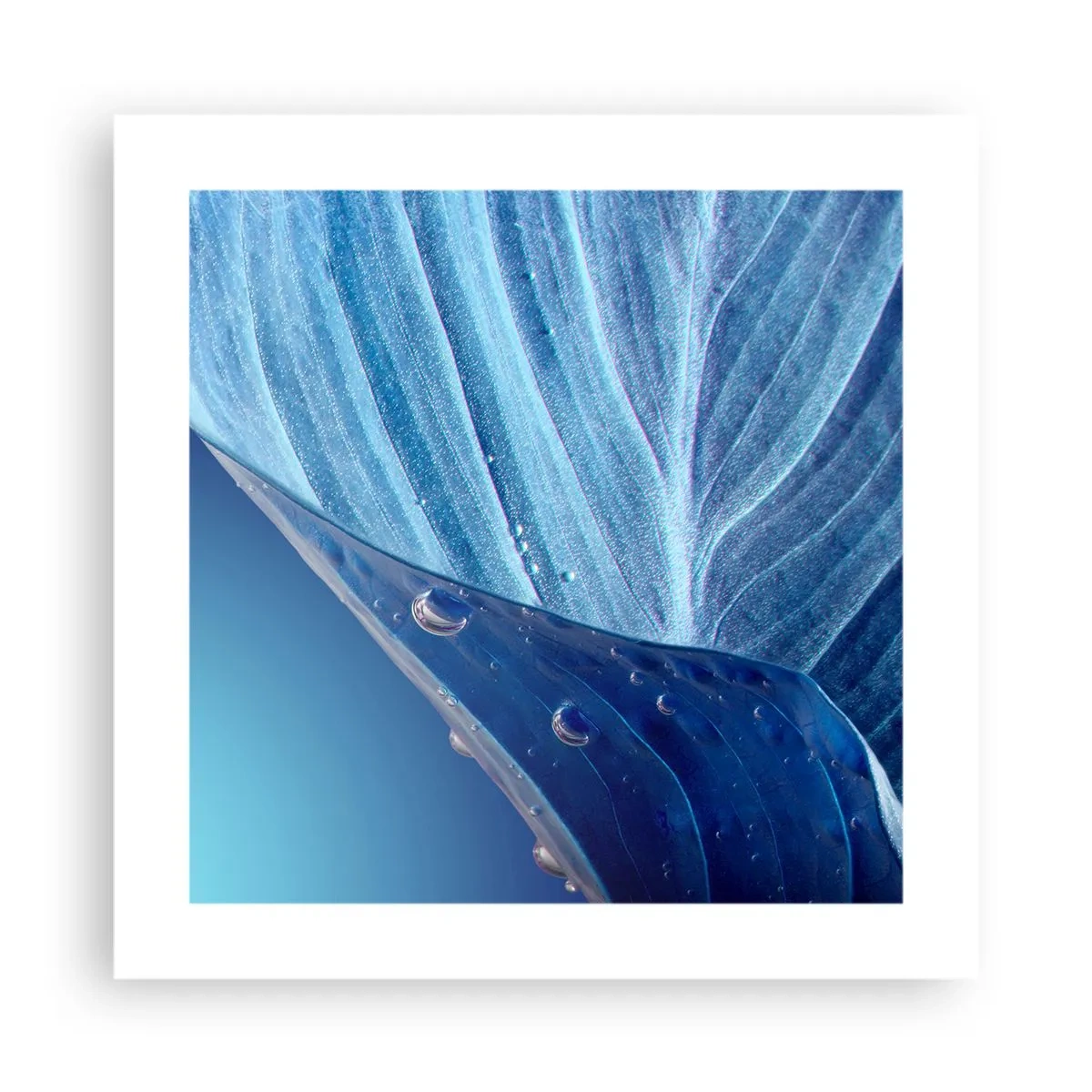 Plagát - Skryté kvapky modrej - 40x40 cm